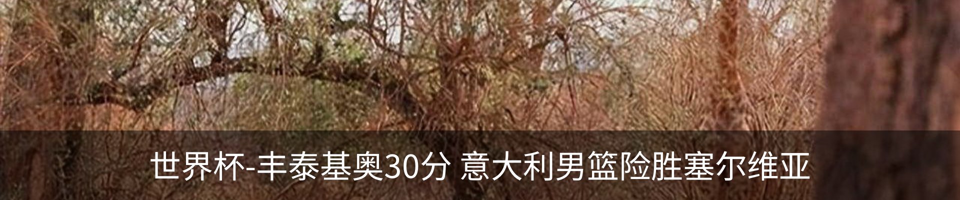 热点资讯