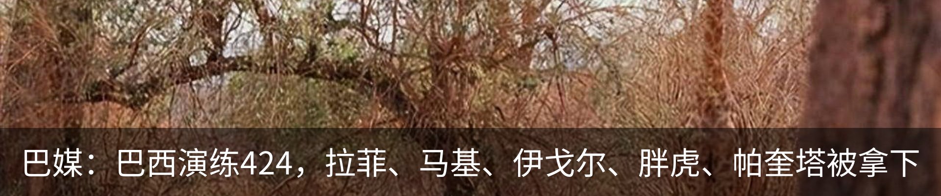 热点资讯